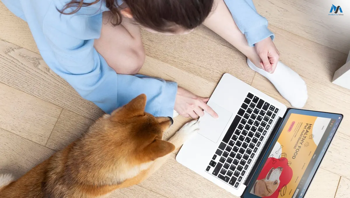 keeping a pet in poland expat guide